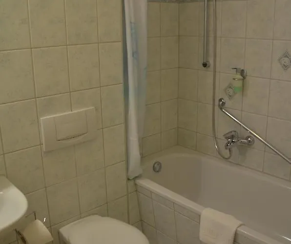 Hotel Landgasthof Zur Goldenen Aue